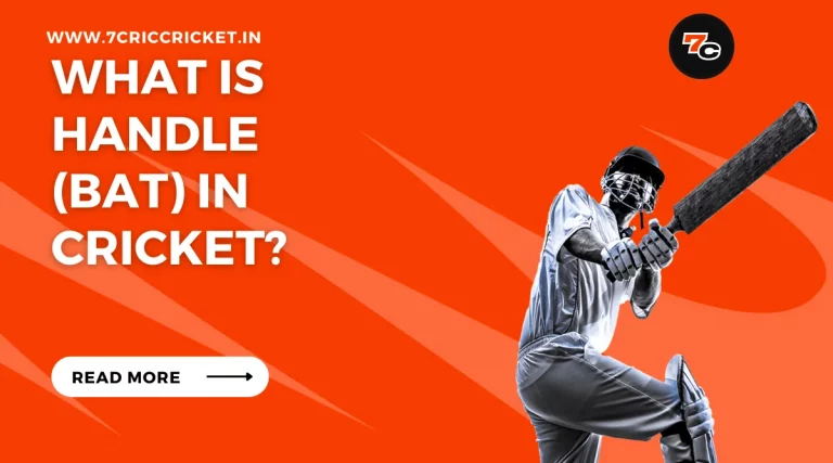 What Is Handle (Bat) in Cricket?