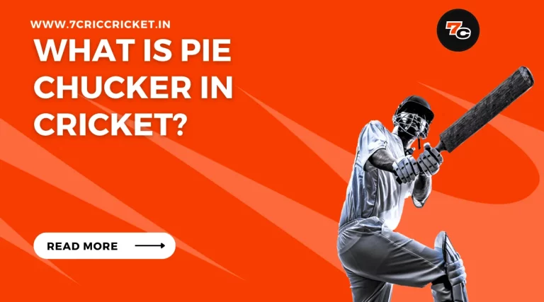 Pie Chucker in Cricket